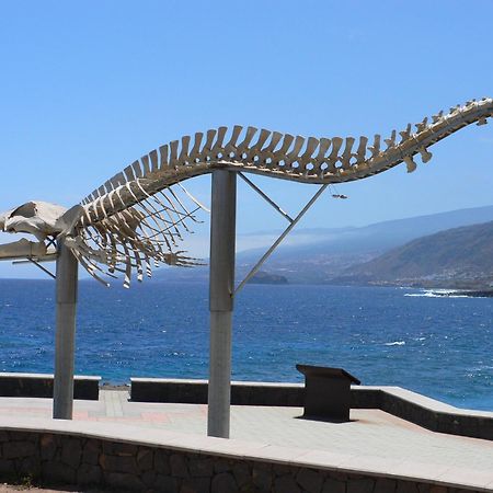 Casa"La Gomera" Los Silos Eksteriør billede