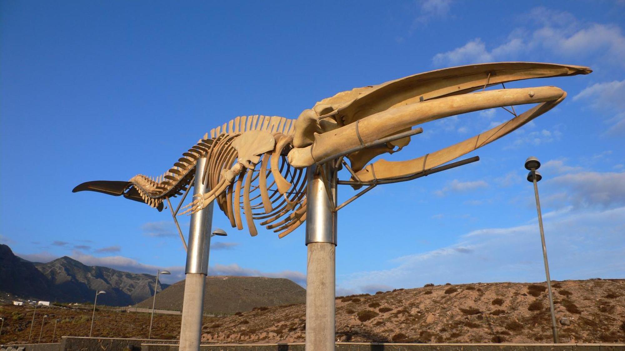 Casa"La Gomera" Los Silos Eksteriør billede
