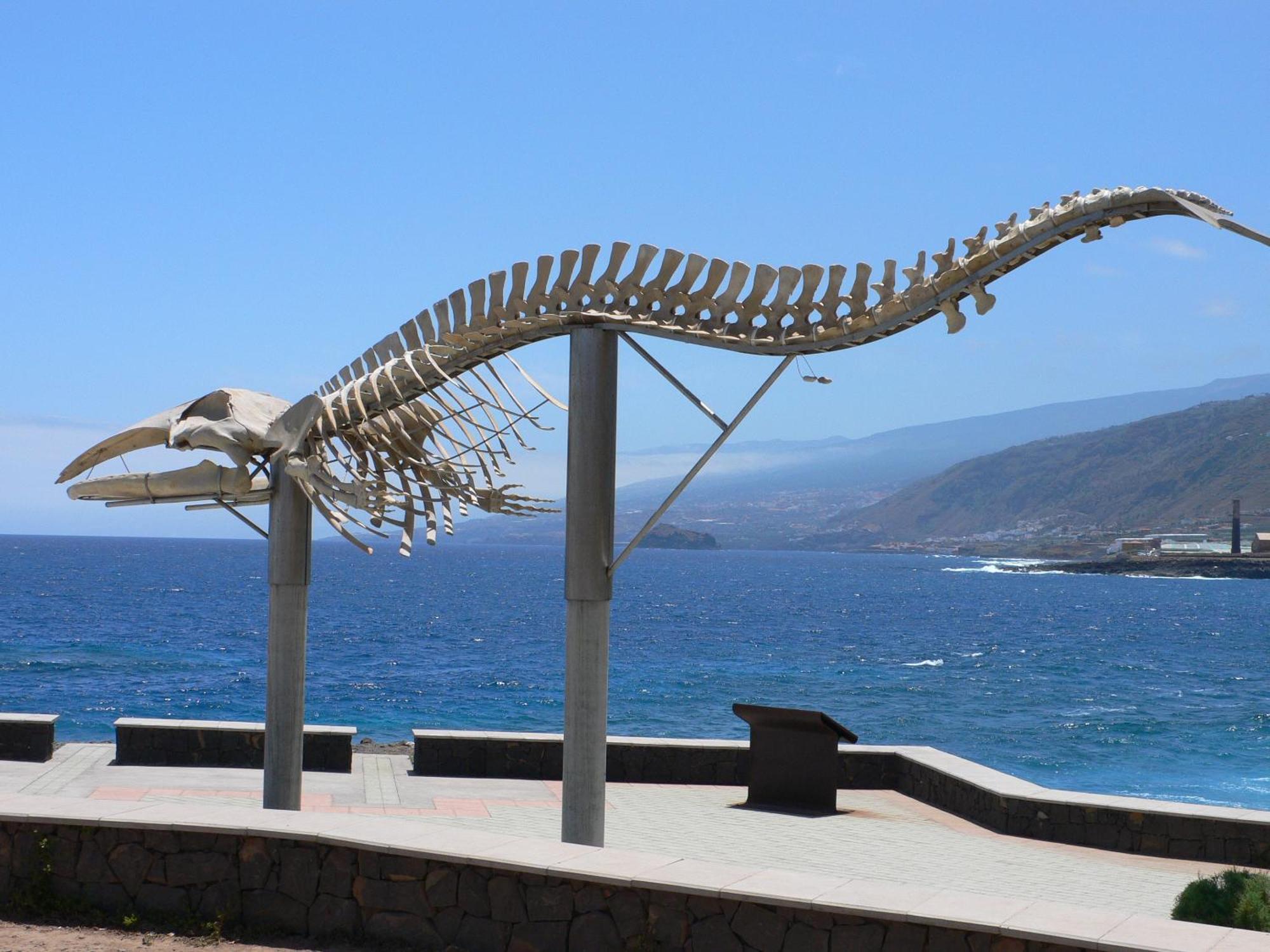 Casa"La Gomera" Los Silos Eksteriør billede